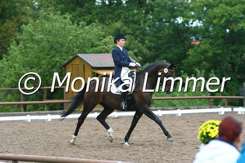 109M1330_Ginger T_Dressur S_St. Georg.JPG